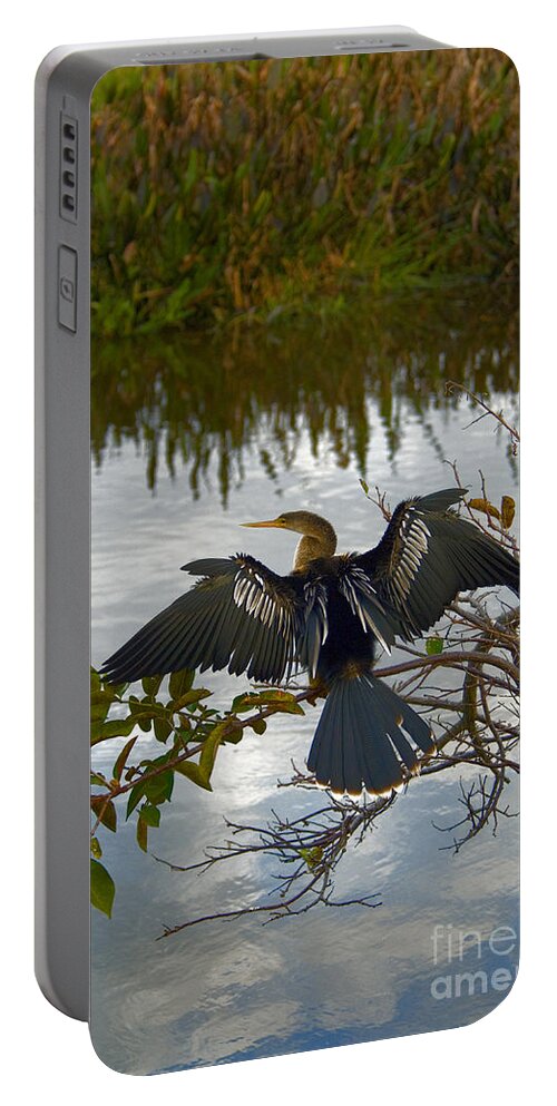 Fauna Portable Battery Charger featuring the photograph Anhinga #8 by Mark Newman