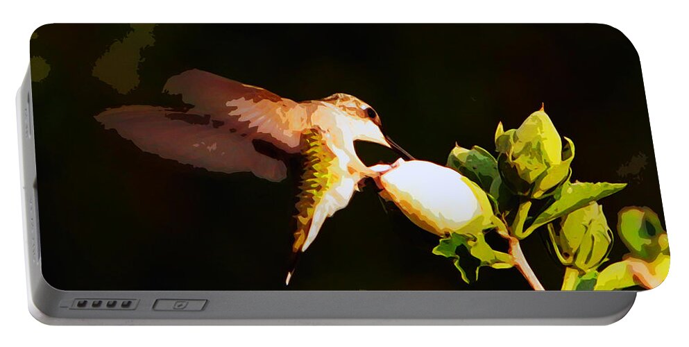 Hummingbirds Portable Battery Charger featuring the photograph Hummingbird #21 by John Freidenberg