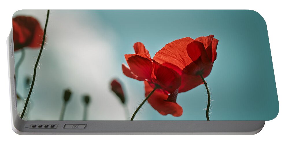 Poppy Portable Battery Charger featuring the photograph Poppy Meadow #8 by Nailia Schwarz