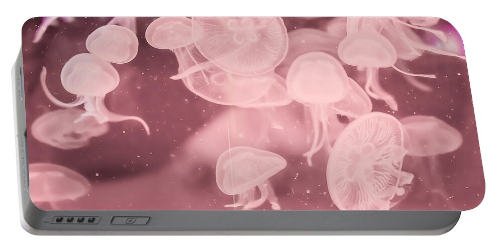 Animal Portable Battery Charger featuring the photograph Jelly Fish #9 by Jijo George