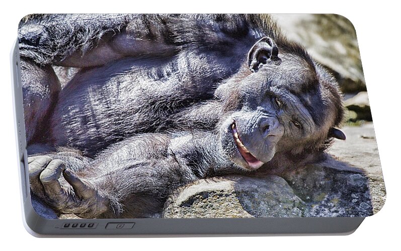 Chimpanzees Portable Battery Charger featuring the photograph A Bit Like Us V3 by Douglas Barnard