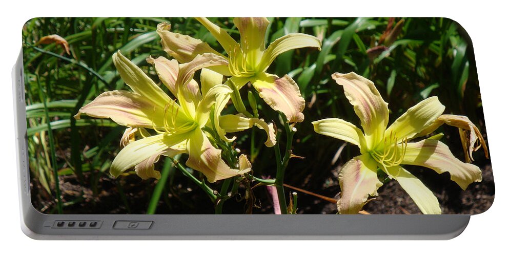 Daylily Portable Battery Charger featuring the photograph A Blush of Summer by Jean Blackmer