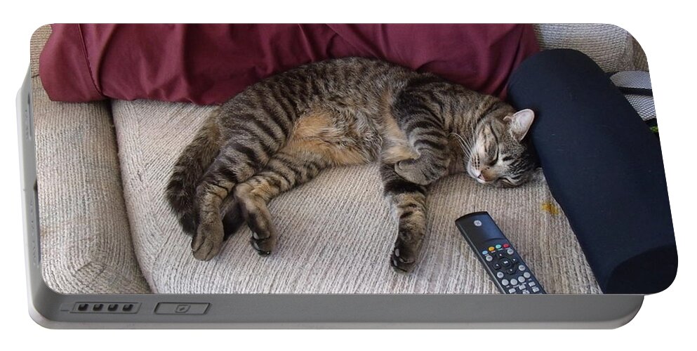 Cat Portable Battery Charger featuring the photograph A Boy and his Remote by David S Reynolds