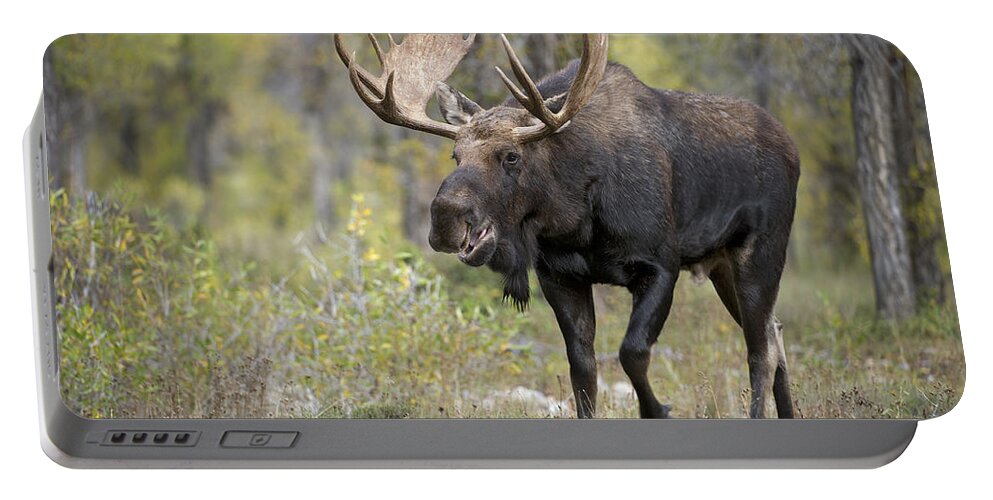 Bull Portable Battery Charger featuring the photograph A bull Moose named Gaston by Gary Langley