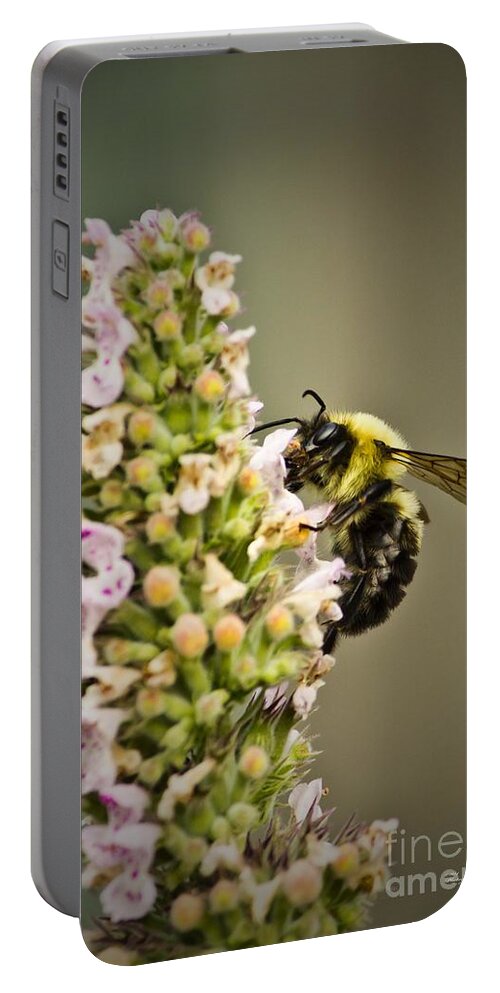 Bee Portable Battery Charger featuring the photograph A Bumble Bee Working by Ms Judi