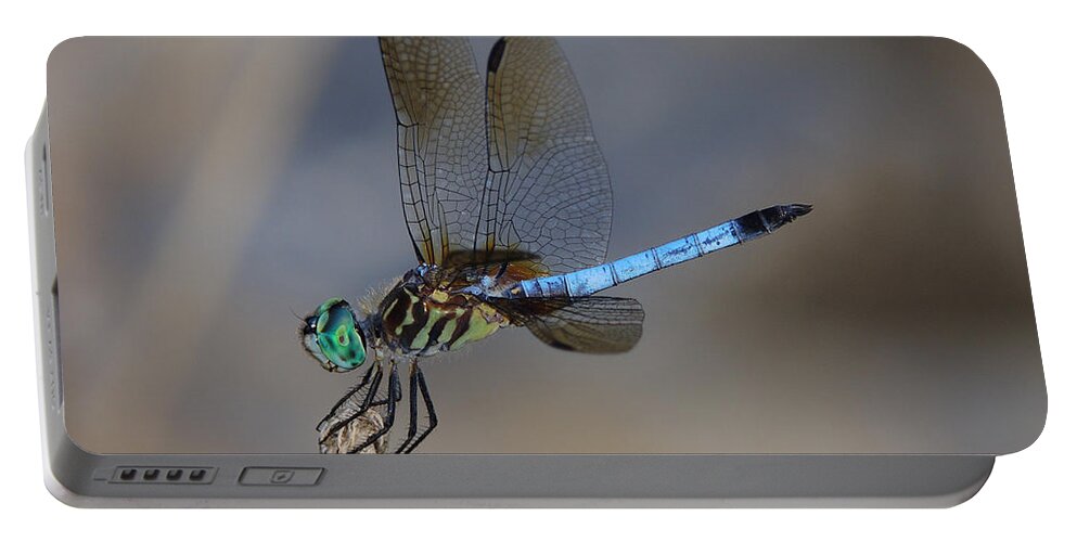 Dragonfly Portable Battery Charger featuring the photograph A Dragonfly IV by Raymond Salani III
