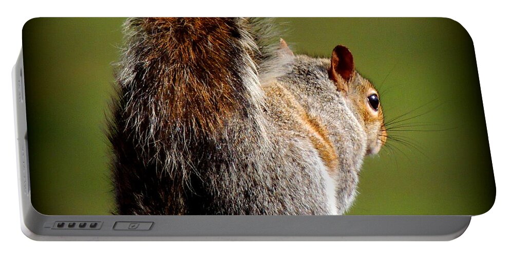 Squirrel Portable Battery Charger featuring the photograph A Friend by Rabiah Seminole