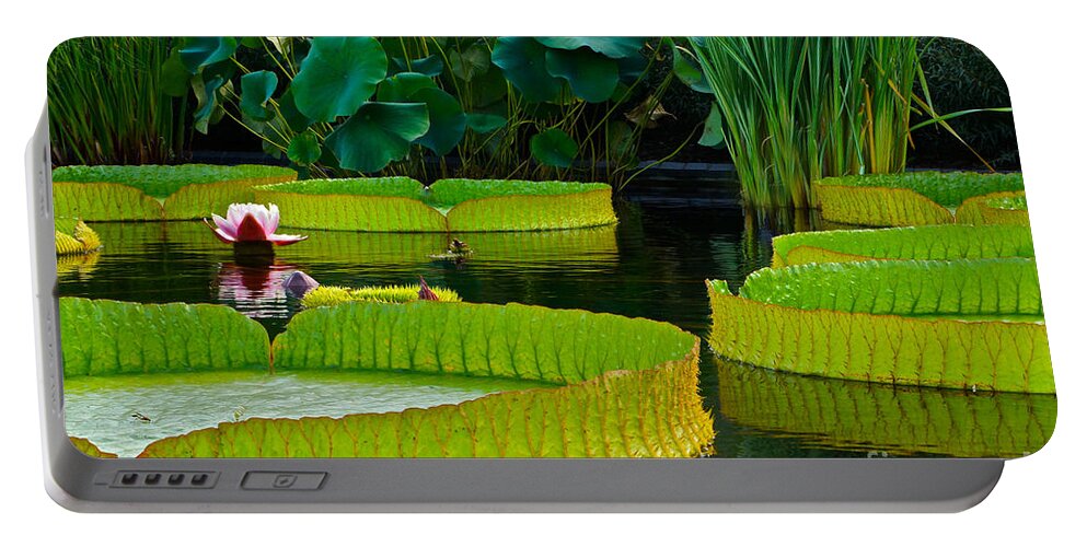 Victoria Cruziana Portable Battery Charger featuring the photograph A Garden In Gentle Waters by Byron Varvarigos