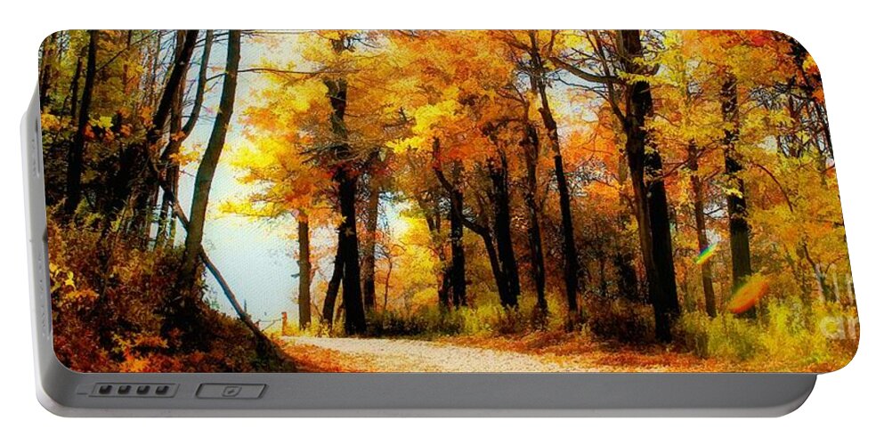 Autumn Leaves Portable Battery Charger featuring the photograph A Golden Day by Lois Bryan