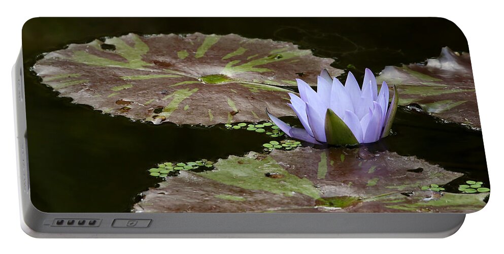 Art Portable Battery Charger featuring the photograph A Little Lavendar Water Lily by Sabrina L Ryan