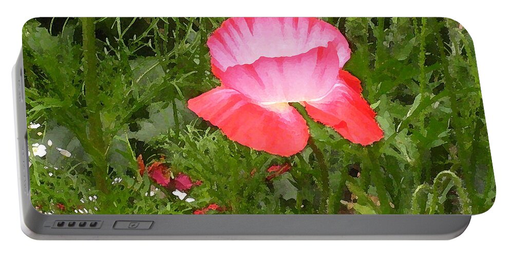 Flower Portable Battery Charger featuring the photograph A Little Pop by Kathy Bassett