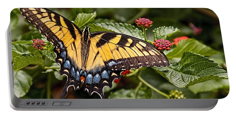 Animal Portable Battery Charger featuring the photograph A Moments Rest by Penny Lisowski
