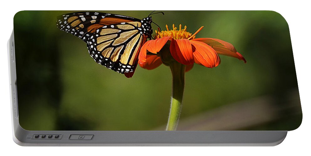 Papillon Portable Battery Charger featuring the photograph A Monarch Butterfly 1 by Xueling Zou