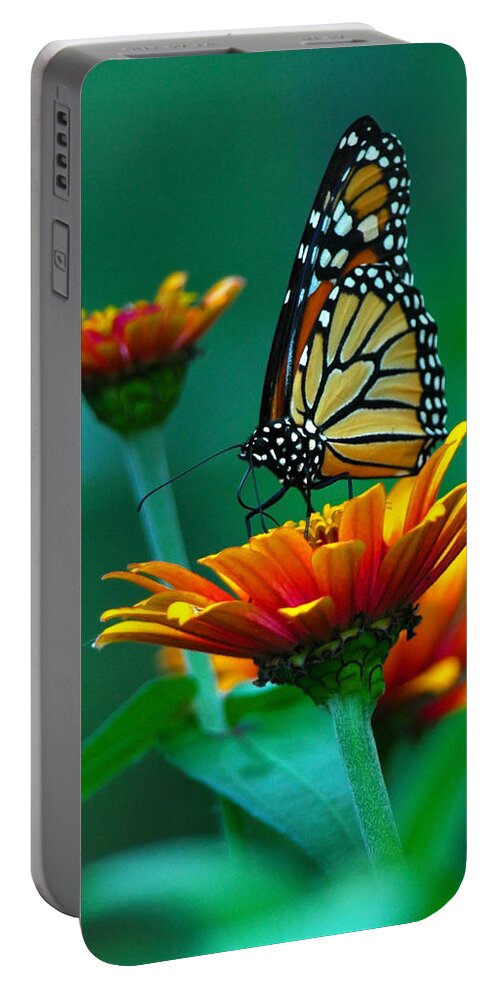 A Monarch Butterfly Portable Battery Charger featuring the photograph A Monarch II by Raymond Salani III