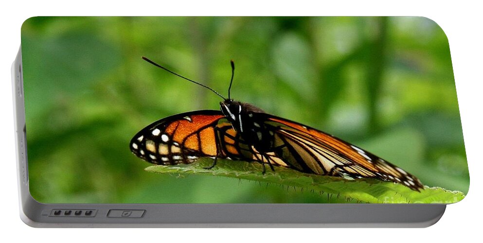 Butterfly Art Portable Battery Charger featuring the photograph A Monarch View by Neal Eslinger