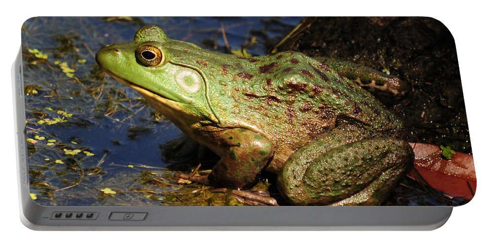Frog Portable Battery Charger featuring the photograph A Prince Of A Frog by Kathy Baccari