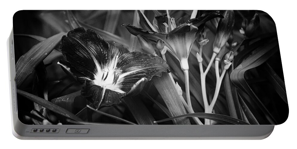Day Lilies Portable Battery Charger featuring the photograph A Riot of No Color by Belinda Greb