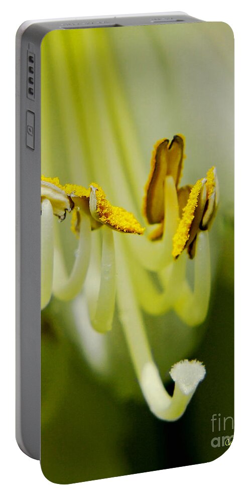 Hosta Portable Battery Charger featuring the photograph A Single Flower in Full Bloom by Carol F Austin