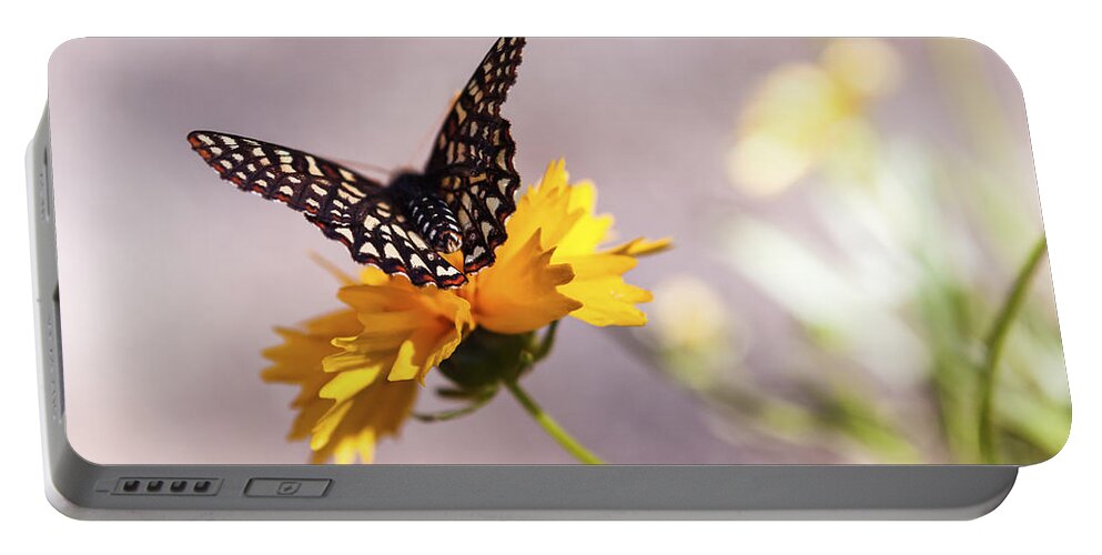 Butterfly Portable Battery Charger featuring the photograph A Sip of Coreopsis by Caitlyn Grasso