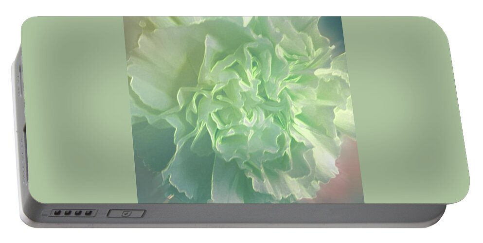 Carnation Portable Battery Charger featuring the photograph A Solitary Green Carnation by Joan-Violet Stretch