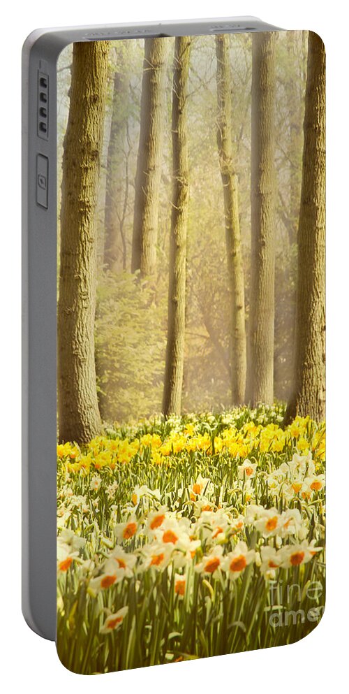 Forest Portable Battery Charger featuring the photograph A Spring Day by Jasna Buncic