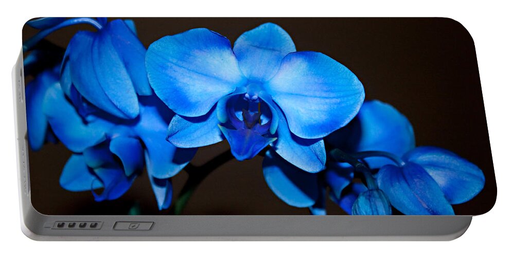 Orchids Portable Battery Charger featuring the photograph A Stem of Beautiful Blue Orchids by Sherry Hallemeier