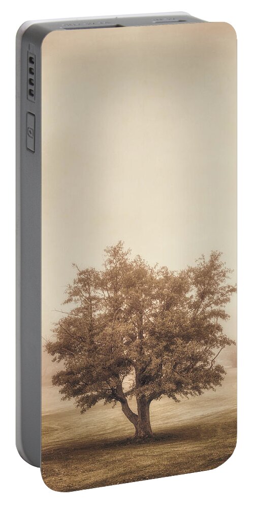 Tree Portable Battery Charger featuring the photograph A Tree in the Fog by Scott Norris