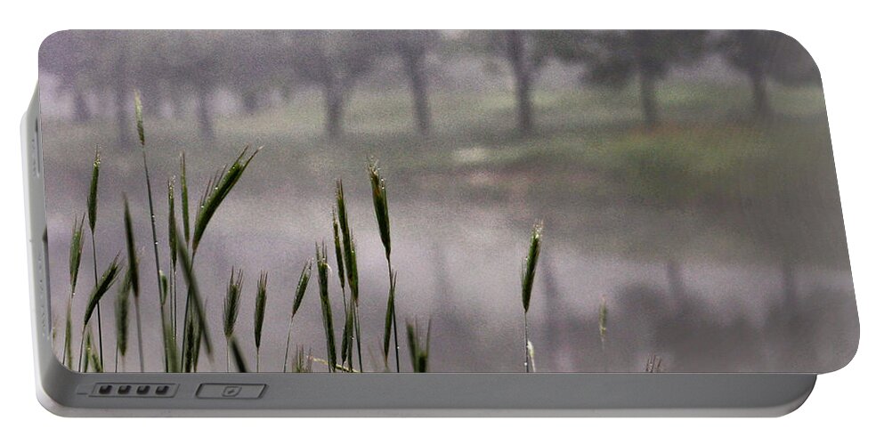 Mist Portable Battery Charger featuring the photograph A View in the Mist by Bruce Patrick Smith