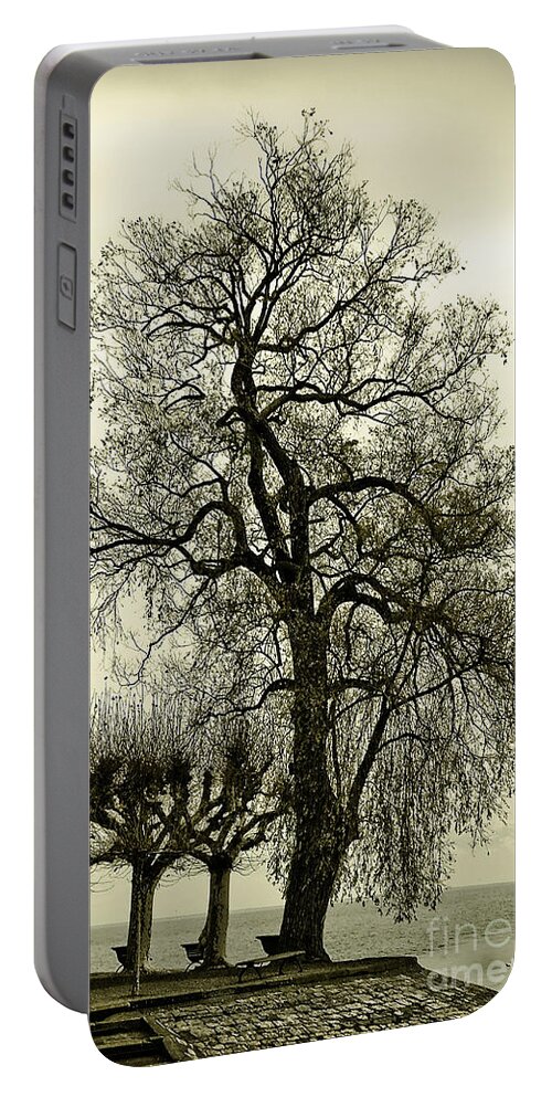 Tree Portable Battery Charger featuring the photograph A Winter Touch by Syed Aqueel