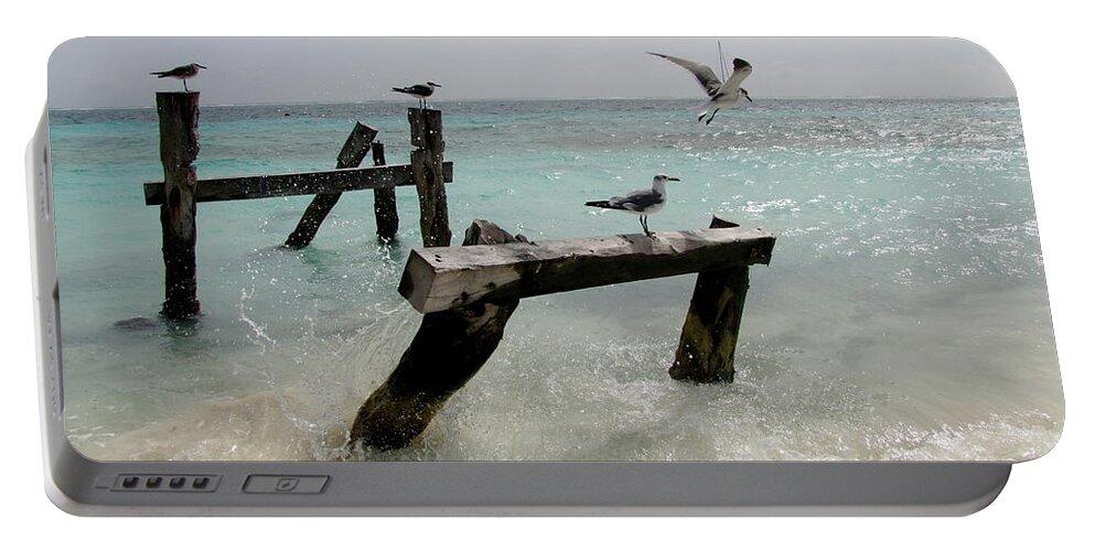 Photography Portable Battery Charger featuring the photograph Abandoned pier by Sean Griffin
