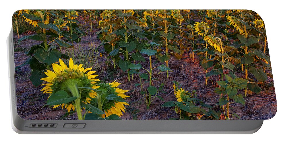Flowers Portable Battery Charger featuring the photograph About Face by Jim Garrison