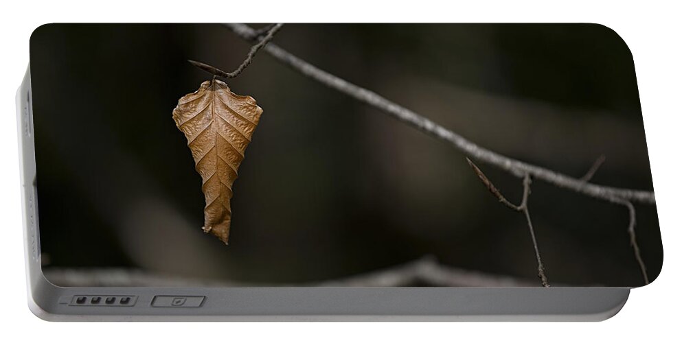 Leaf Portable Battery Charger featuring the photograph About to drop. by Nigel R Bell