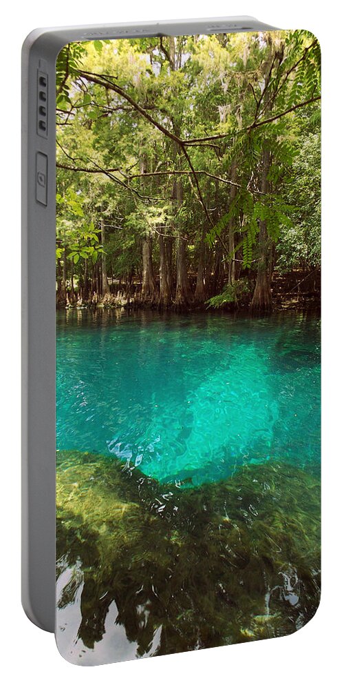Manatee Springs Chiefland Florida Portable Battery Charger featuring the photograph Above the Spring by Sheri McLeroy