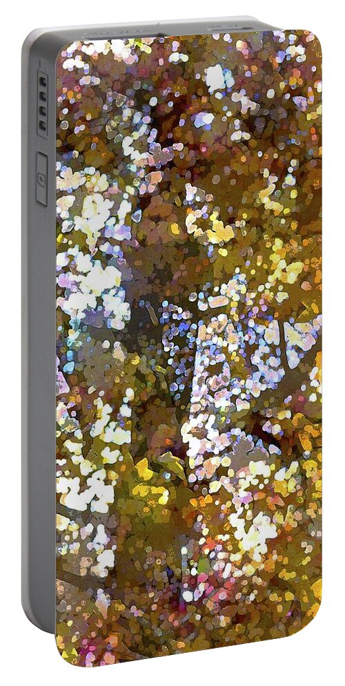 Abstract Portable Battery Charger featuring the photograph Abstract 293 by Pamela Cooper