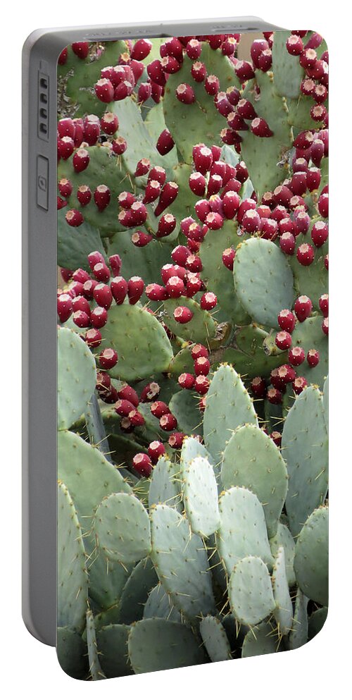 Cactus Portable Battery Charger featuring the photograph Abundance of Fruit by Laurel Powell
