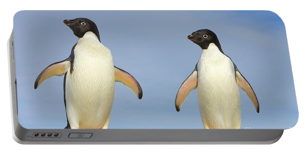00345619 Portable Battery Charger featuring the photograph Adelie Penguin Duo by Yva Momatiuk John Eastcott