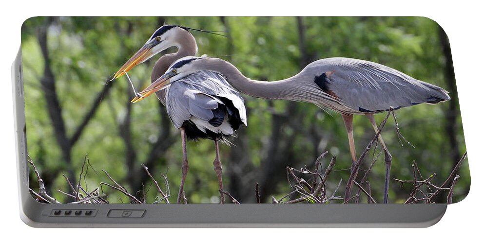 Animal Portable Battery Charger featuring the photograph Affectionate Great Blue Heron Mates by Sabrina L Ryan