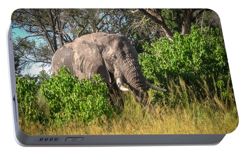 Botswana Portable Battery Charger featuring the photograph African Bush Elephant by Gregory Daley MPSA