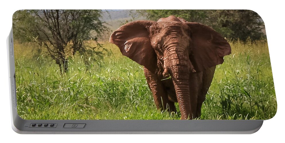 Namibia Portable Battery Charger featuring the photograph African Desert Elephant by Gregory Daley MPSA