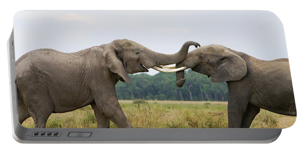 00784026 Portable Battery Charger featuring the photograph African Elephant Bulls Fighting by Suzi Eszterhas