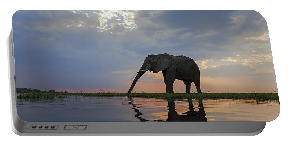 Vincent Grafhorst Portable Battery Charger featuring the photograph African Elephant Drinking Chobe River by Vincent Grafhorst