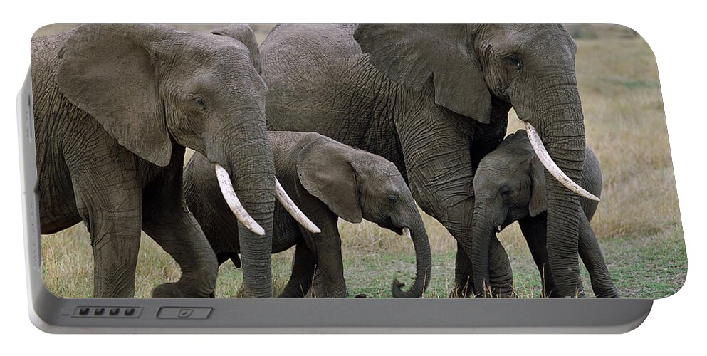 00344769 Portable Battery Charger featuring the photograph African Elephant Females And Calves by Yva Momatiuk and John Eastcott