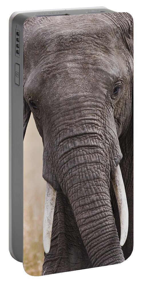 Flpa Portable Battery Charger featuring the photograph African Elephant Masai Mara Kenya by Elliott Neep