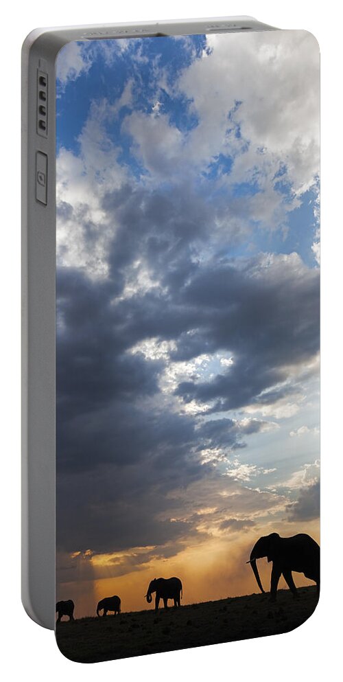 Vincent Grafhorst Portable Battery Charger featuring the photograph African Elephants At Sunset Botswana by Vincent Grafhorst