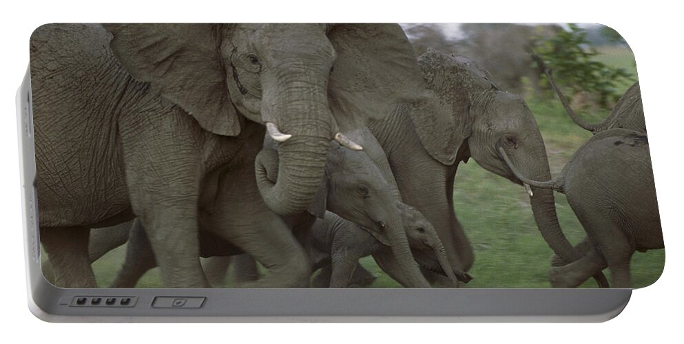 Feb0514 Portable Battery Charger featuring the photograph African Elephants Linyanti Swamp by Gerry Ellis