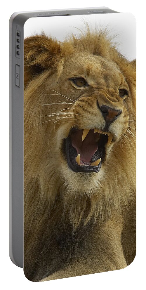 Feb0514 Portable Battery Charger featuring the photograph African Lion Male Growling by San Diego Zoo
