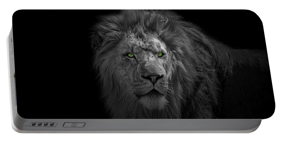 Africa Portable Battery Charger featuring the photograph African Lion by Peter Lakomy