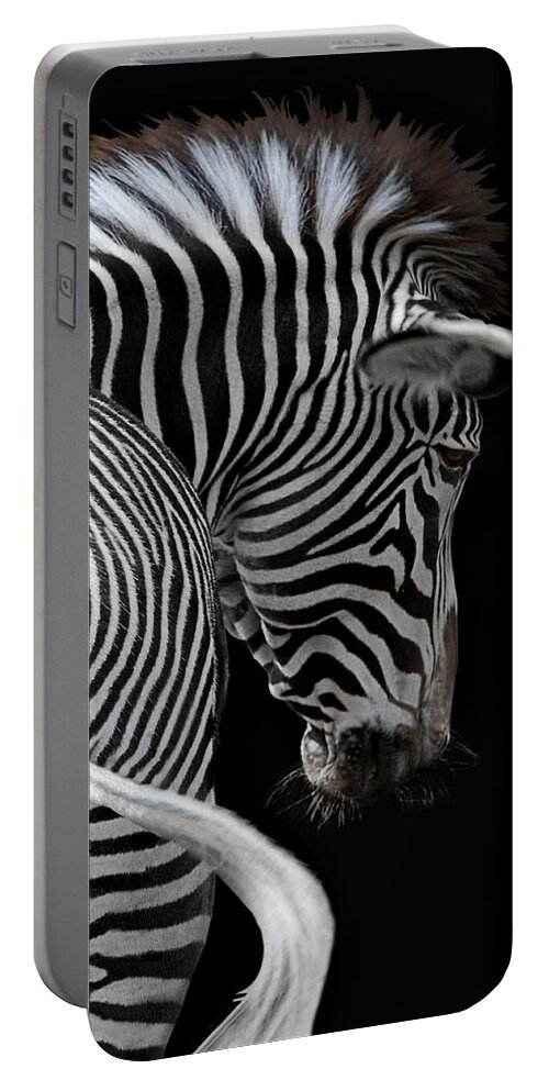 Animal Portable Battery Charger featuring the photograph african stripes II by Joachim G Pinkawa
