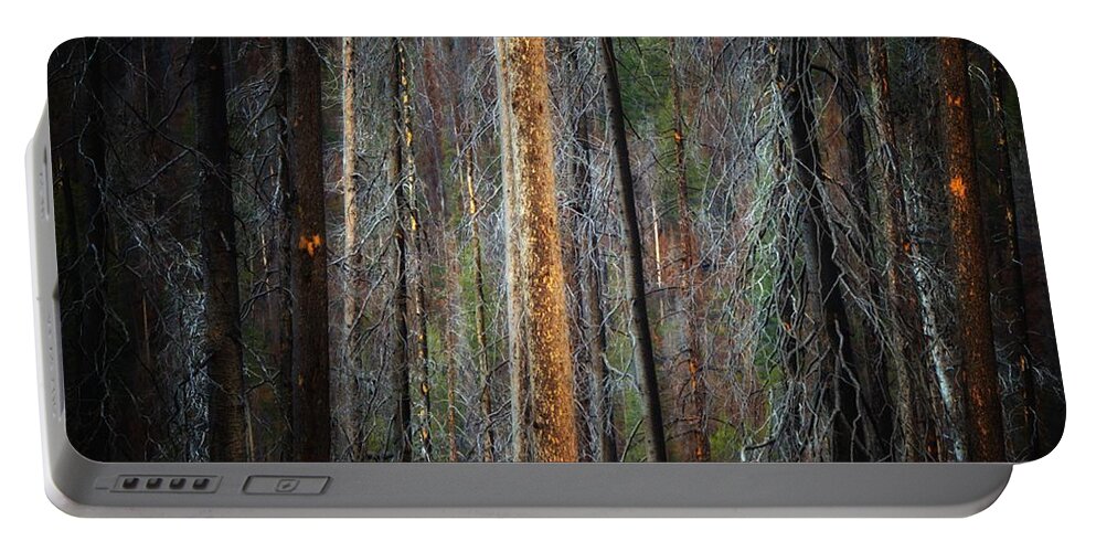 Abstract Portable Battery Charger featuring the photograph After the Burn 3 by Newel Hunter