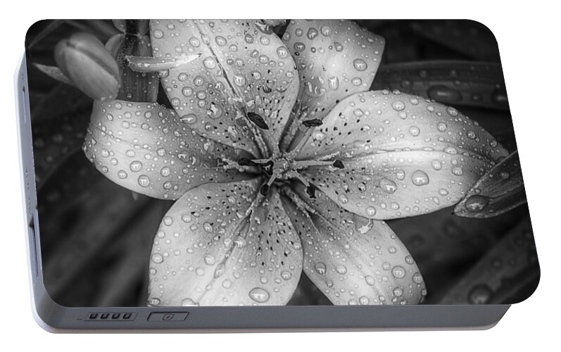 Tiger Lily Portable Battery Charger featuring the photograph After the Rain by Scott Norris